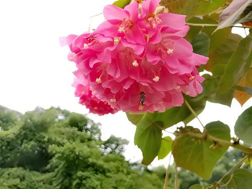 1707142346867.jpg