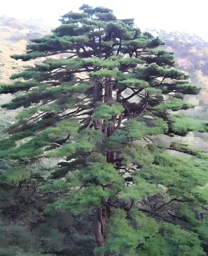 1745116793197.jpg