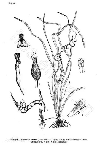 aec379310a55b319ebc45c2cb4ff9526cffc1e17b969.webp.jpg